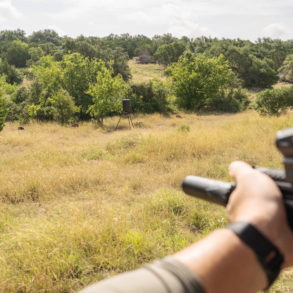 Social Card HAVOC Boar Country 6