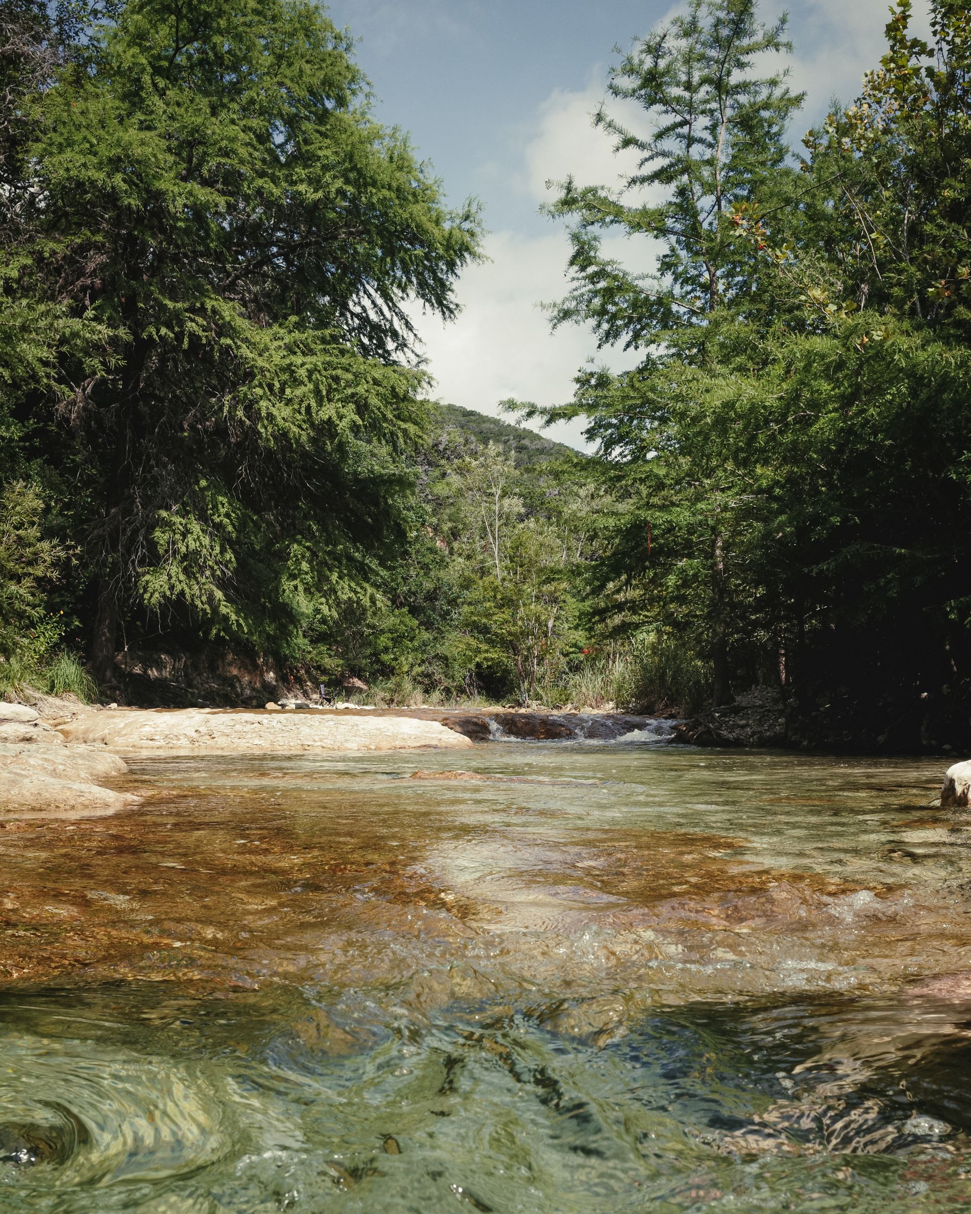 Clear creek running through Hill Country cypress