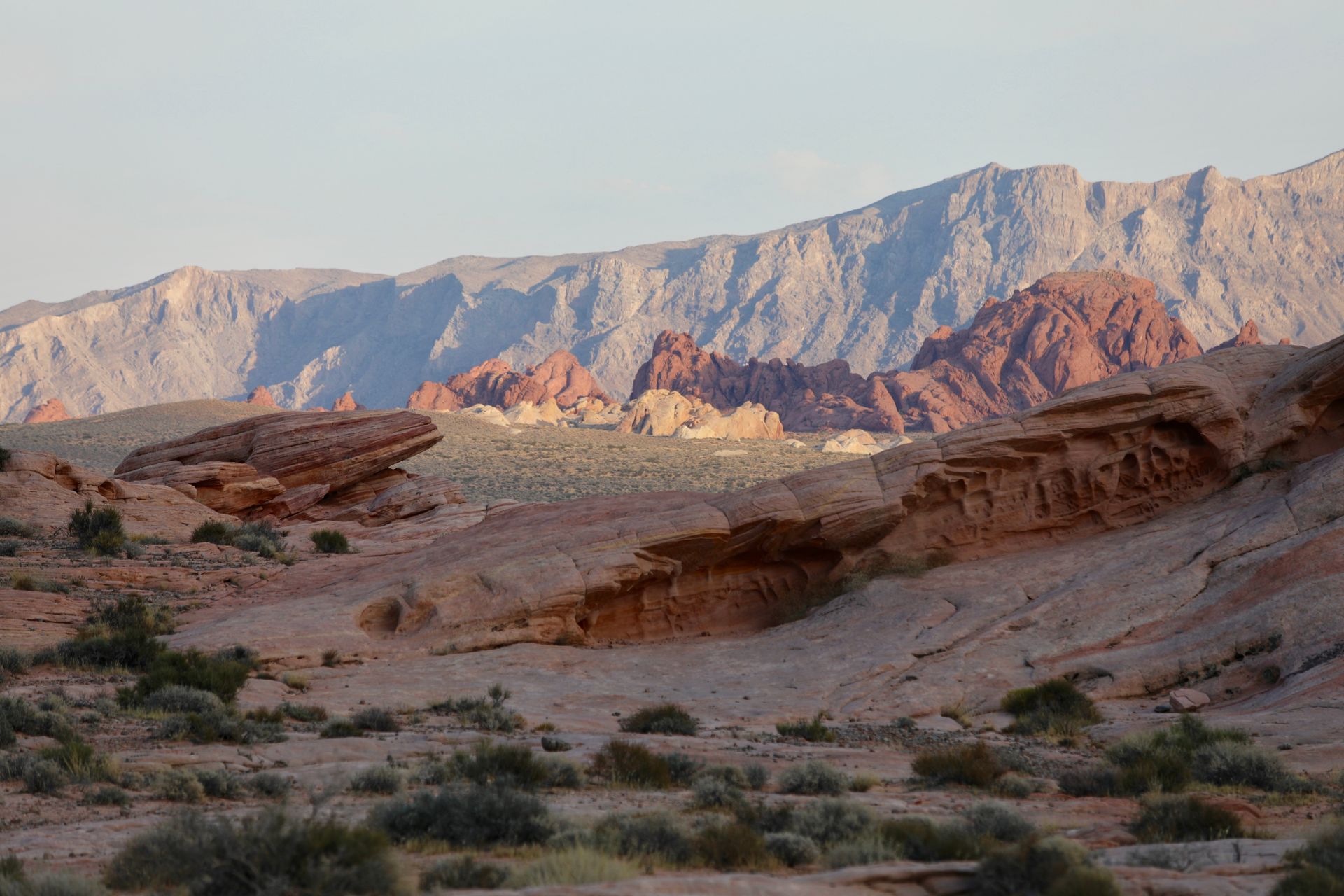 Desert canyon under evening light